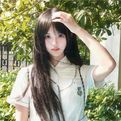 追星星的人
